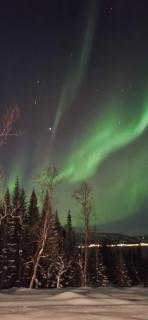 Hiet- Arctic cabin in the norwegian forrest! - 5