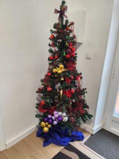 Casa rural la Antigua - 3