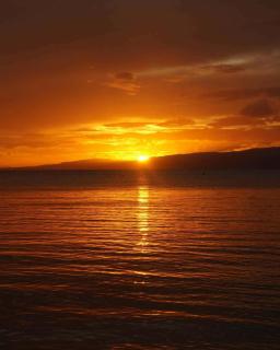 John Lhea Beach Cottages - 1