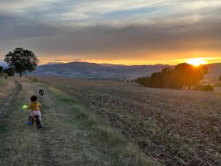 unique Chambre 3 spa Centre Équestre & Snack - 6