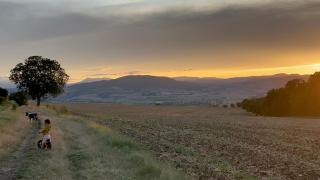 unique Chambre 3 spa Centre Équestre & Snack - 4