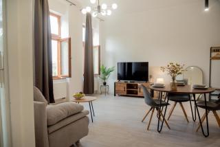 Scandinavian Central spacious apartment - 9