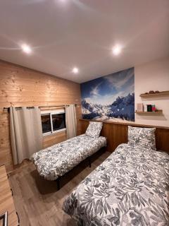 Loft-chalet 12 pers - Billiards - 10 min slopes - 6