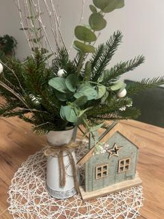 Apartman nad Metují - 4