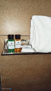 Hotel Krishna Palace - 2