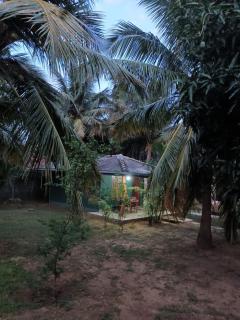 Whispering Wind Yala - 4