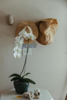 Dune Rose Yzerfontein Villa - Yzerfontein - 4