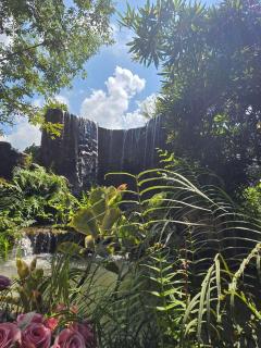 Tasana Garden Saraphi ทาซาน่าการ์เด้น สาขาสารภี - 9