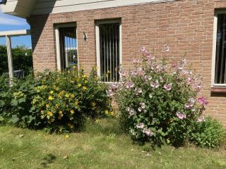 Bungalow Stormvloed - 4