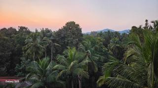 The Four Corners-1BHK Palolem Garden Estate Near Palolem Beach - 9