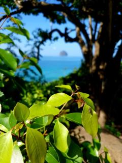 TI diamant CHERRY - 2