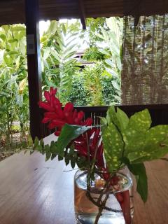 Hotel Exotic Lodge - 1