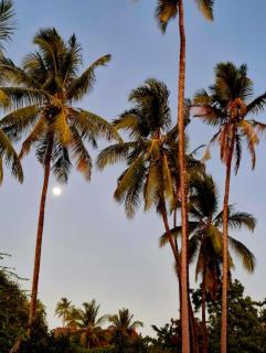 B&B G&H home Zanzibar - 9