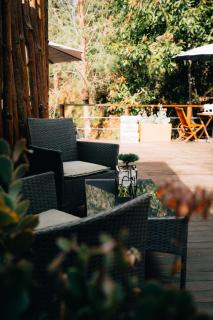 Forest El Retiro, cabañas en el bosque - 4