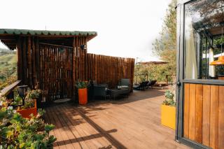 Forest El Retiro, cabañas en el bosque - 2