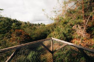 Forest El Retiro, cabañas en el bosque - 1