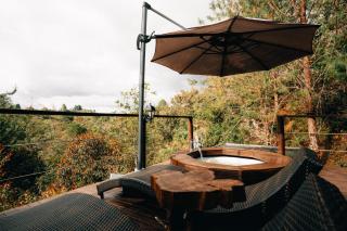 Forest El Retiro, cabañas en el bosque - 6