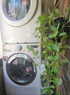 Hongdae City View - 2