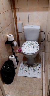 Ciemos pie Ingas Sedā - 6