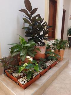 Hotel Abadias De Zapatoca - 5