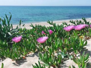 Sea view house, private parking, WiFi - 9