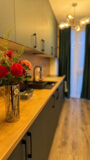 SHoliday Sky Panoramic Apartment New Building Private Parking - 2