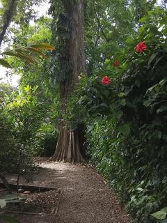 Hotel Exotic Lodge - 7