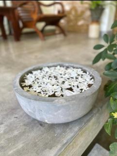 Green Corridor - Ahangama - Ahangama - 9