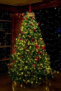 Bakuriani Art Hotel apartament - 9