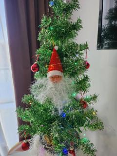 Bakuriani Art Hotel apartament - 7