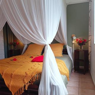 Villa Fleurs d'Air en côte sous le vent - 8