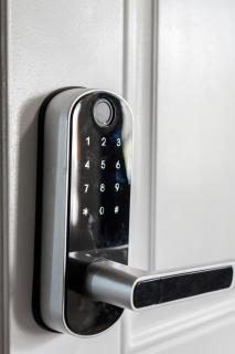 Beautiful 2BR in Savin Hill Boston - 7