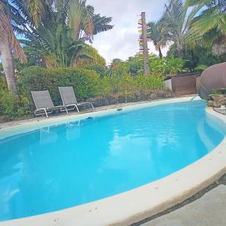 Villa Fleurs d'Air en côte sous le vent - 5