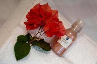 Paradis des Anges Appartement - 8