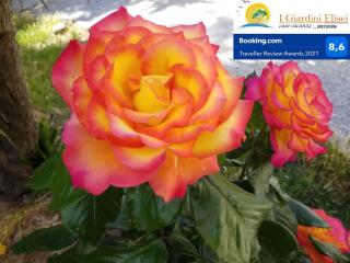 Complesso "I Giardini Elisei" - 8