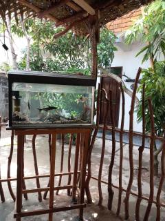 Surf Kin Garden Inn - 9