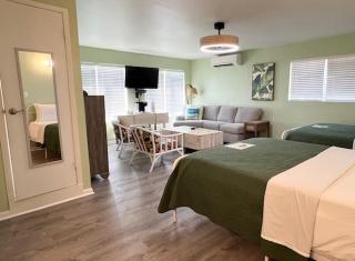 The Green Iguana Hotel - 8