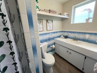 The Green Iguana Hotel - 9