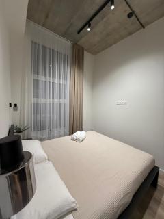 Modern apartment near old town - Kaunas - 5