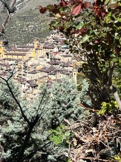 Rent beautiful village house - 8