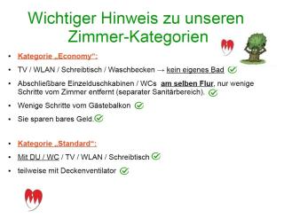 Landgasthof Grüner Baum - 9