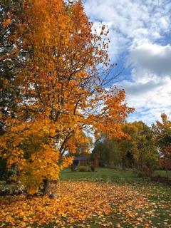 RiverHouse - 2