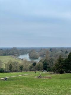 Victorian Cottage in Central Richmond - Richmond upon Thames - 8