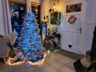 Maison spacieuse avec jardin - 0