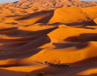 Luxury white camp - 3