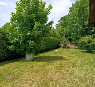 Relax private villa and car park lago nemi - 6