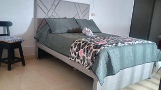 Aparta estudio en Concepción - 0