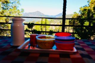 Peaceful Cozy 6 BR Villa in Chail with BBQ Bonfire - 6