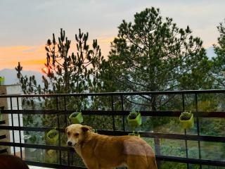 Peaceful Cozy 6 BR Villa in Chail with BBQ Bonfire - 2