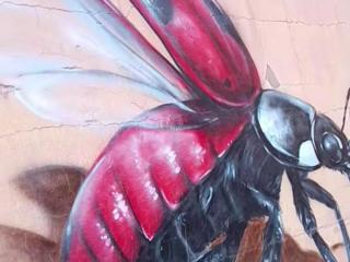 شمس ميبلادن Tafoukt N' Mibladen - Midelt - 6